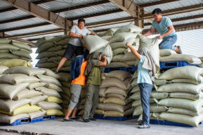 高效搬運服務 人工裝卸、設備搬運與工廠搬遷一體化解決方案